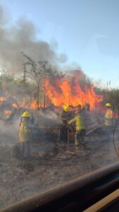 Incendio forestal Marcos Paz