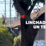 ¿Qué le pasó al ladrón que intentaba robar por cuarta vez la misma casa?